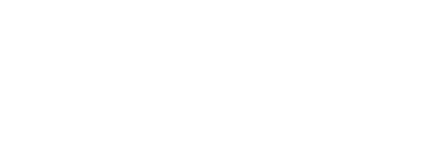 IMMO100FIN